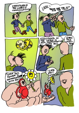 Victor von Boltenstern