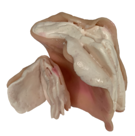 Victor von Boltenstern