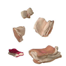 Victor von Boltenstern